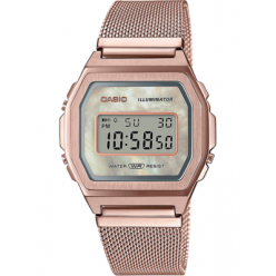 Часы Casio A1000MCG-9
